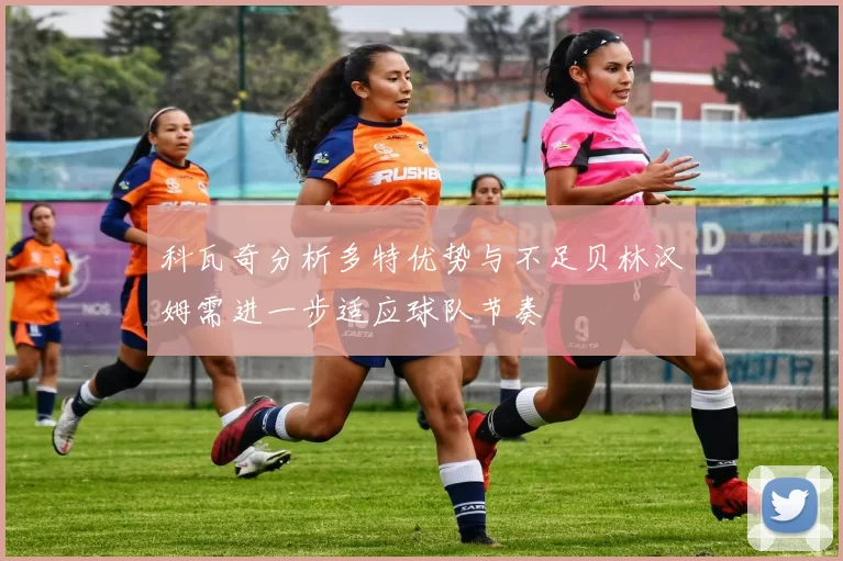 科瓦奇分析多特优势与不足贝林汉姆需进一步适应球队节奏